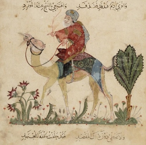 Grabado de ibn Battouta en camello